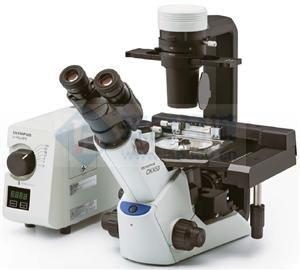 奥林巴斯CKX53倒置生物显微镜